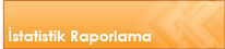 �statistik Raporlama